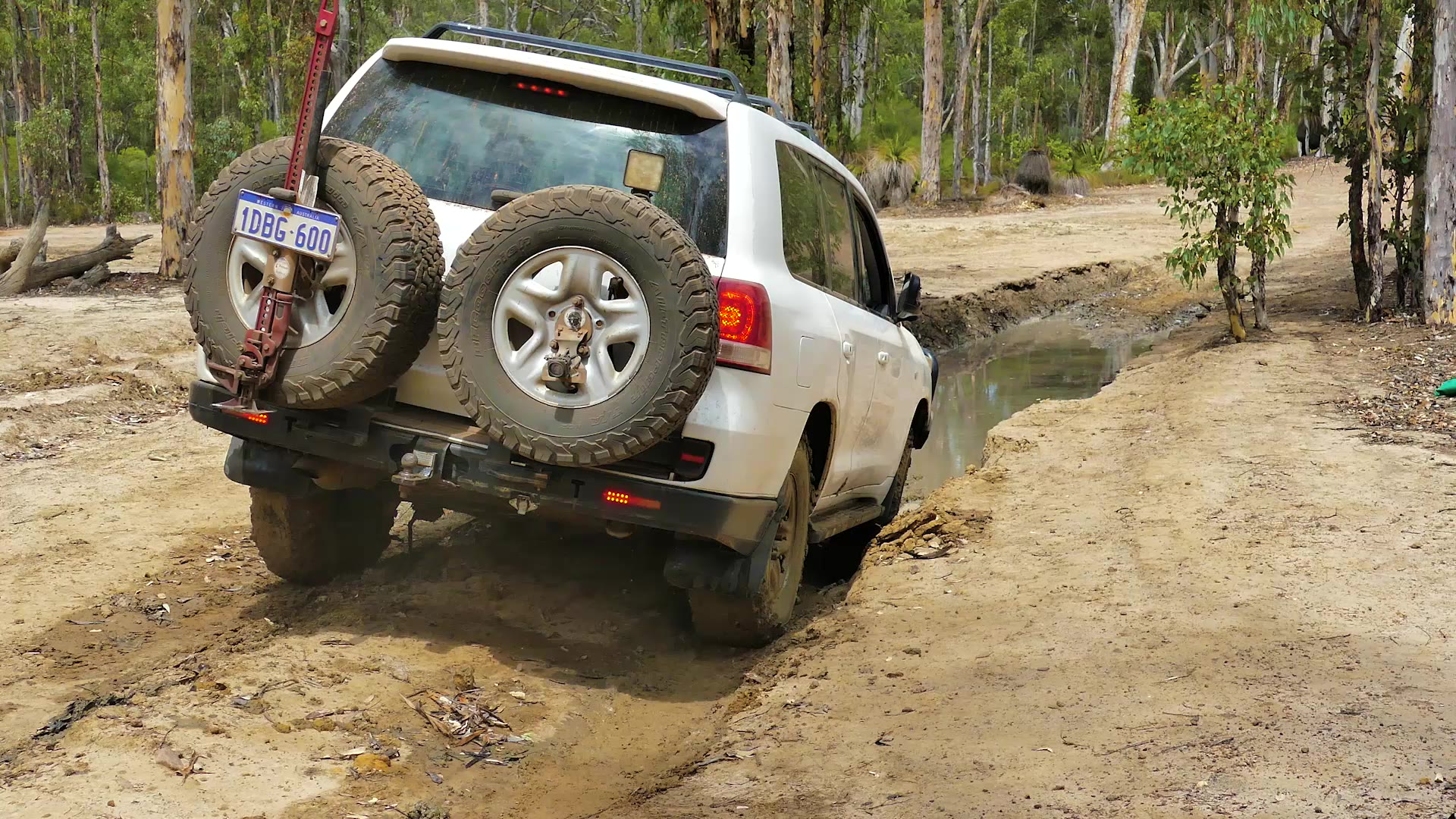LandCruiser 200 Series on forest trail ready to recover